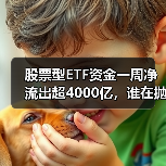 股票型ETF资金一周净流出超4000亿，谁在抛售？（图1）
