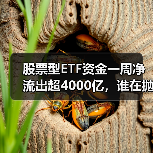 股票型ETF资金一周净流出超4000亿，谁在抛售？（图4）