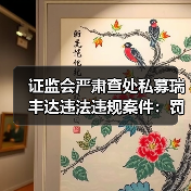 证监会严肃查处私募瑞丰达违法违规案件：罚没超4100万元，实控人终身市场禁入（图4）