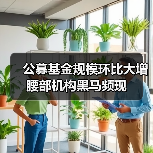 公募基金规模环比大增 腰部机构黑马频现