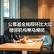 公募基金规模环比大增 腰部机构黑马频现(图3) 公募基金规模环比大增 腰部机构黑马频现(图3)
