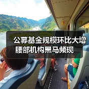 公募基金规模环比大增 腰部机构黑马频现(图4) 公募基金规模环比大增 腰部机构黑马频现(图4)