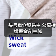 头号重仓股易主 公募持续掘金AI主线（图4）