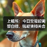 上期所：今日交易起调整白银、锡期货相关合约交易限额（图4）