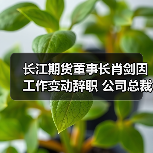 长江期货董事长肖剑因工作变动辞职 公司总裁张帆代为履行董事长职责（图2）