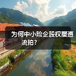 为何中小险企股权屡遭流拍？ 　　（图1）