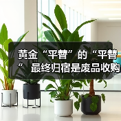 黄金“平替”的“平替” 最终归宿是废品收购站？（图4）