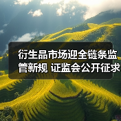 衍生品市场迎全链条监管新规 证监会公开征求意见力促回归风险管理本源（图4）