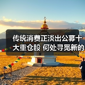 传统消费正淡出公募十大重仓股 何处寻觅新的“长坡厚雪”(图2) 传统消费正淡出公募十大重仓股 何处寻觅新的“长坡厚雪”(图2)