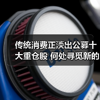 传统消费正淡出公募十大重仓股 何处寻觅新的“长坡厚雪”(图4) 传统消费正淡出公募十大重仓股 何处寻觅新的“长坡厚雪”(图4)