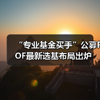 “专业基金买手”公募FOF最新选基布局出炉(图3) “专业基金买手”公募FOF最新选基布局出炉(图3)