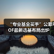 “专业基金买手”公募FOF最新选基布局出炉(图1) “专业基金买手”公募FOF最新选基布局出炉(图1)