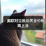 美欧对立推动黄金价格再上涨(图3) 美欧对立推动黄金价格再上涨(图3)
