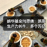 鹏华基金闫思倩:新质生产力长牛,多个万亿市场空间开启(图3) 鹏华基金闫思倩:新质生产力长牛,多个万亿市场空间开启(图3)