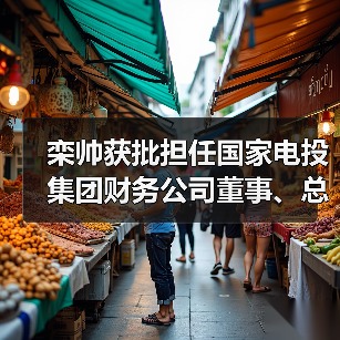 栾帅获批担任国家电投集团财务公司董事、总经理（图4）