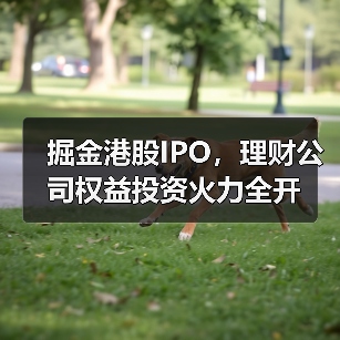 掘金港股IPO,理财公司权益投资火力全开(图2) 掘金港股IPO,理财公司权益投资火力全开(图2)