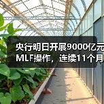 央行明日开展9000亿元MLF操作,连续11个月加量续做(图1) 央行明日开展9000亿元MLF操作,连续11个月加量续做(图1)