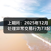 上期所:2025年12月处理异常交易行为73起(图4) 上期所:2025年12月处理异常交易行为73起(图4)