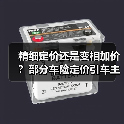 精细定价还是变相加价？部分车险定价引车主困惑（图2）