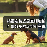 精细定价还是变相加价？部分车险定价引车主困惑（图3）