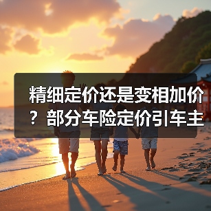 精细定价还是变相加价？部分车险定价引车主困惑（图4）