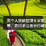 因个人贷款管理不审慎等，农行浙江省分行被罚880万元（图3）