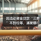 因流动资金贷款“三查”不到位等，浦发银行杭州分行被罚475万元（图4）