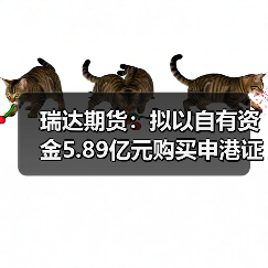 瑞达期货:拟以自有资金5.89亿元购买申港证券合计11.9351%股权(图4) 瑞达期货:拟以自有资金5.89亿元购买申港证券合计11.9351%股权(图4)