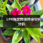 LPR稳定降准降息空间分析(图3) LPR稳定降准降息空间分析(图3)
