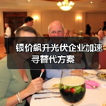 银价飙升光伏企业加速寻替代方案(图4) 银价飙升光伏企业加速寻替代方案(图4)