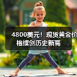 4800美元!现货黄金价格续创历史新高(图1) 4800美元!现货黄金价格续创历史新高(图1)