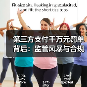 第三方支付千万元罚单背后：监管风暴与合规挑战并存（图4）