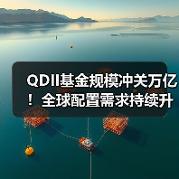 QDII基金规模冲关万亿！全球配置需求持续升温（图2）