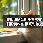 胶版印刷纸期货首次交割圆满收官 期现对接迈出关键一步(图2) 胶版印刷纸期货首次交割圆满收官 期现对接迈出关键一步(图2)