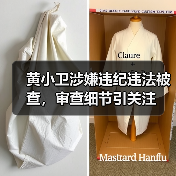 黄小卫涉嫌违纪违法被查,审查细节引关注(图4) 黄小卫涉嫌违纪违法被查,审查细节引关注(图4)