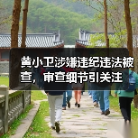 黄小卫涉嫌违纪违法被查,审查细节引关注(图3) 黄小卫涉嫌违纪违法被查,审查细节引关注(图3)