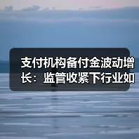 支付机构备付金波动增长:监管收紧下行业如何应对?(图2) 支付机构备付金波动增长:监管收紧下行业如何应对?(图2)