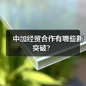 中加经贸合作有哪些新突破?(图1) 中加经贸合作有哪些新突破?(图1)