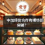 中加经贸合作有哪些新突破?(图3) 中加经贸合作有哪些新突破?(图3)