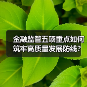 金融监管五项重点如何筑牢高质量发展防线？（图4）