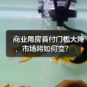 商业用房首付门槛大降,市场将如何变?(图4) 商业用房首付门槛大降,市场将如何变?(图4)