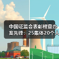 中国证监会表彰稽查办案先锋:25集体20个人获殊荣(图3) 中国证监会表彰稽查办案先锋:25集体20个人获殊荣(图3)
