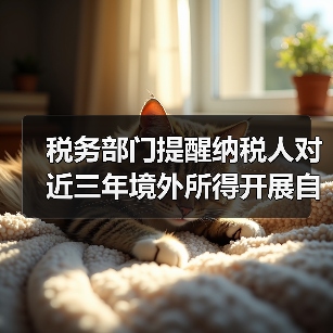 税务部门提醒纳税人对近三年境外所得开展自查(图3) 税务部门提醒纳税人对近三年境外所得开展自查(图3)