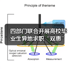 四部门联合开展高校毕业生异地求职“双惠”行动（图2）