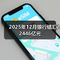 2025年12月银行结汇22446亿元(图3) 2025年12月银行结汇22446亿元(图3)