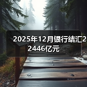 2025年12月银行结汇22446亿元(图1) 2025年12月银行结汇22446亿元(图1)