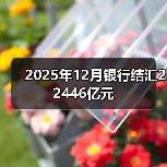 2025年12月银行结汇22446亿元(图2) 2025年12月银行结汇22446亿元(图2)