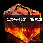 公募基金掀起“限购潮”（图4）