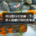 央行副行长邹澜：下一步人民银行将综合考虑多种因素，灵活开展国债买卖操作（图1）