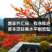 国家外汇局:有序推进资本项目高水平制度型开放(图2) 国家外汇局:有序推进资本项目高水平制度型开放(图2)